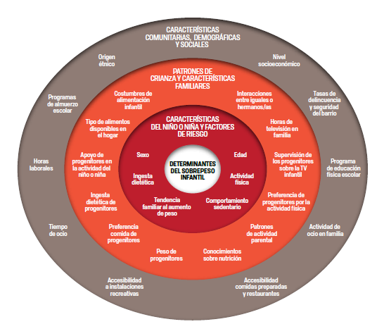 Factores determinantes obesidad infantil