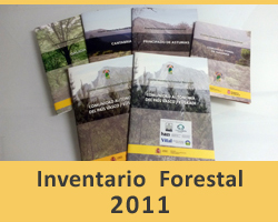 Inventario Forestal 2011