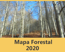 Mapa Forestal 2020