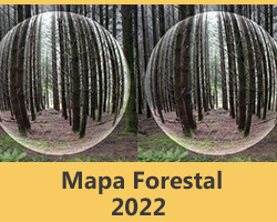 Mapa Forestal 2022