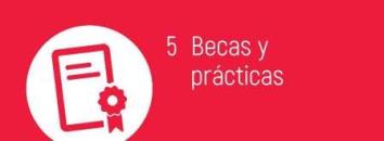 BECAS y PRÁCTICAS