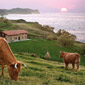Desarrollo Rural y Litoral