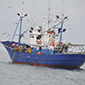 Ayudas al sector pesquero y acuícola de la Comunidad Autónoma del País Vasco 2024