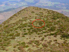 Zona en la que se encontraran los enterramientos vista desde la proximidad de la cumbre del monte Burgeo.