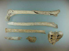 Conjunto de restos esquelticos humanos hallados en el monte Sabigain.