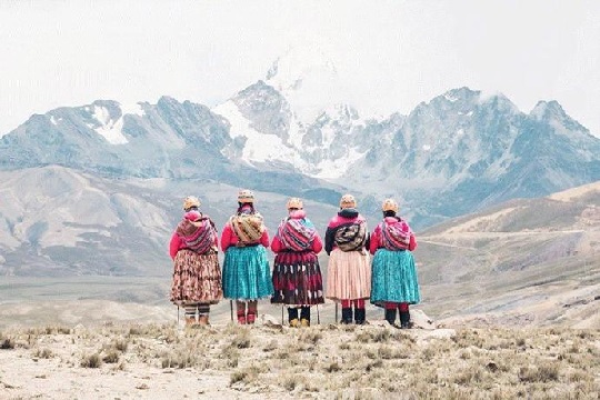 Hiru sari berri 'Cholitas Hiru sari berri 'Cholitas
