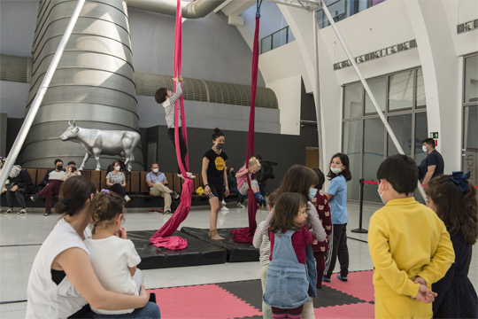 Musika, zirkua, zinema eta arte garaikidea izango dira Santander, Bilbo eta Logro�o hirien arteko sarea ehunduko duten hariak, 