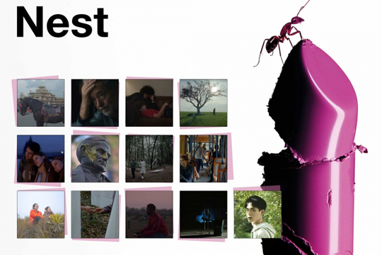 Hamahiru film labur lehiatuko dira Nest The Mediapro Studio Saria eskuratzeko Donostia Zinemaldian