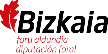 Provincial Government of Bizkaia