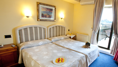 Logeletako batetik mahastiak ikus daitezke