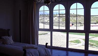 Habitaci�n con vistas al vi�edo