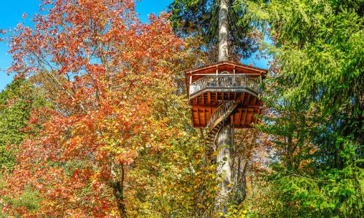 Caba�as en los �rboles 