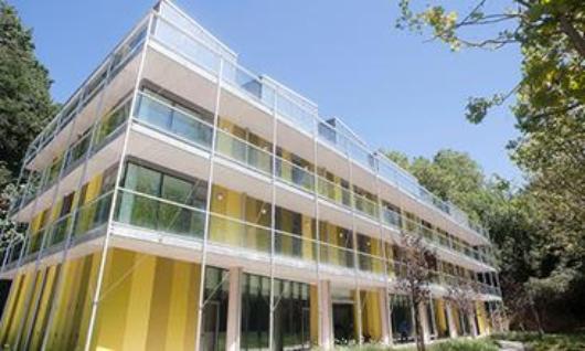 Uba hostel