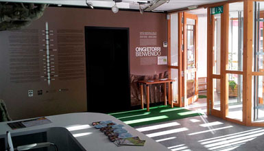 Lizarrusti parketxea