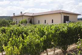 Exterior de la bodega