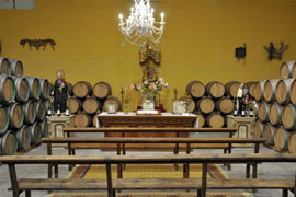 Vista interior de la bodega