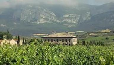 Bodega Torre de O�a