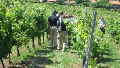 Doniene Gorrondona Txakolina