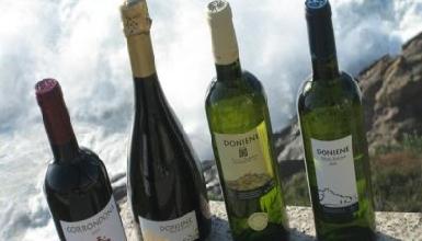 Doniene Gorrondona Txakolina