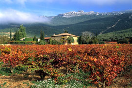 Exterior de la bodega