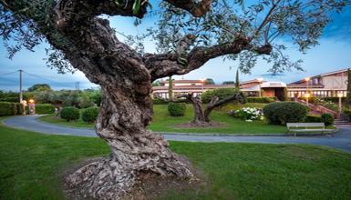 Araeta jatetxearen kanpokaldea