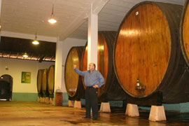 Barricas de la sidrer�a Zelaia