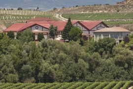 Imagen exterior de la bodega