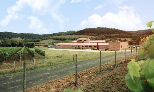 Artoma�a Txakolina