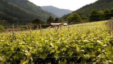 Exterior de la bodega