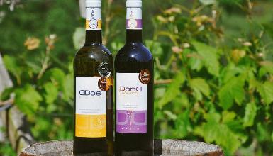 Ados Basarte Txakolina