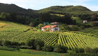 Ados Basarte Txakolina