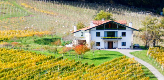 Ados Basarte Txakolina