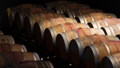 Bodegas Javier San Pedro 