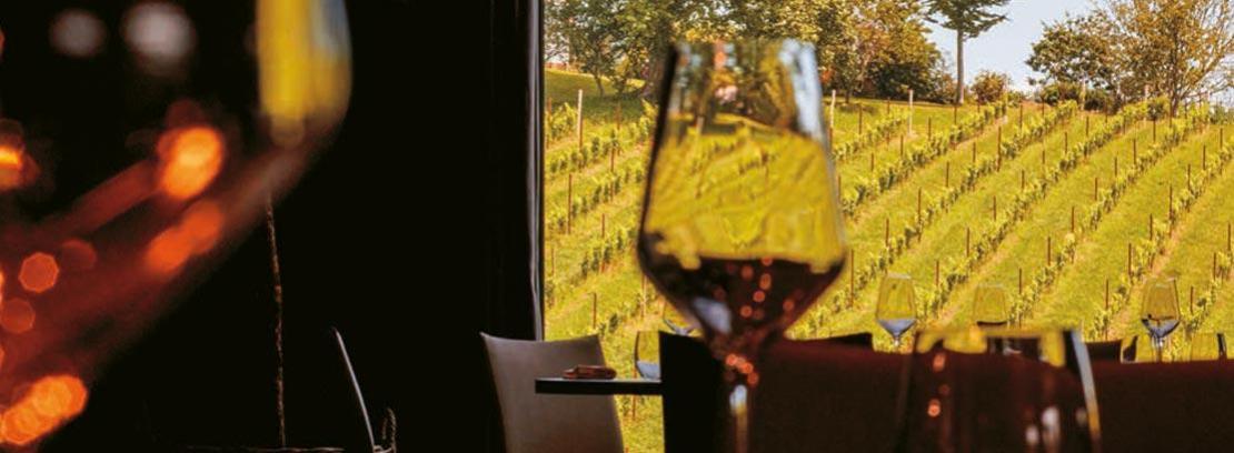 Imagen de una copa de vino en un vi�edo