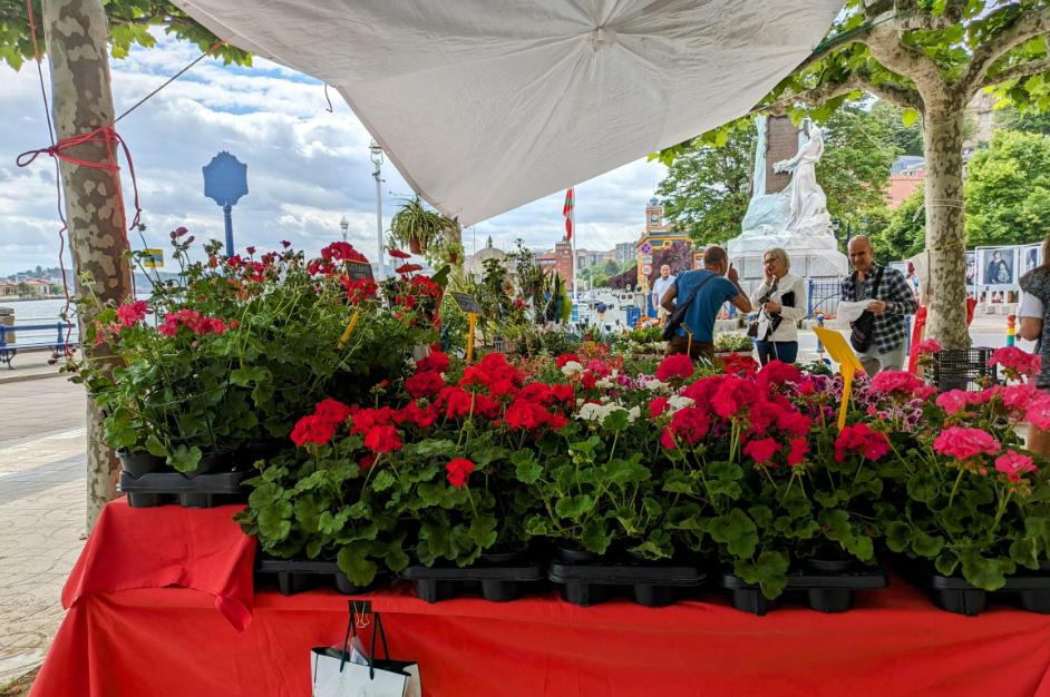 Portugaleteko merkatua