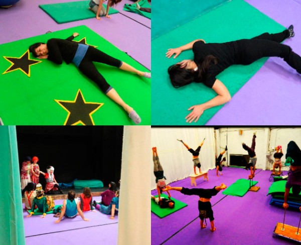 Argazkia: Zirkozaurre