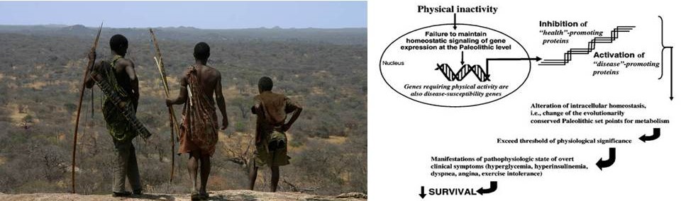 (es) &iquest;Por qu&eacute; raz&oacute;n debemos hacer actividad f&iacute;sica? Nuestros genes nos lo piden a gritos
