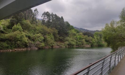 Barrio del Regato en Barakaldo 