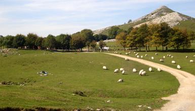 Aizkorri-Aratzeko Parke Naturala