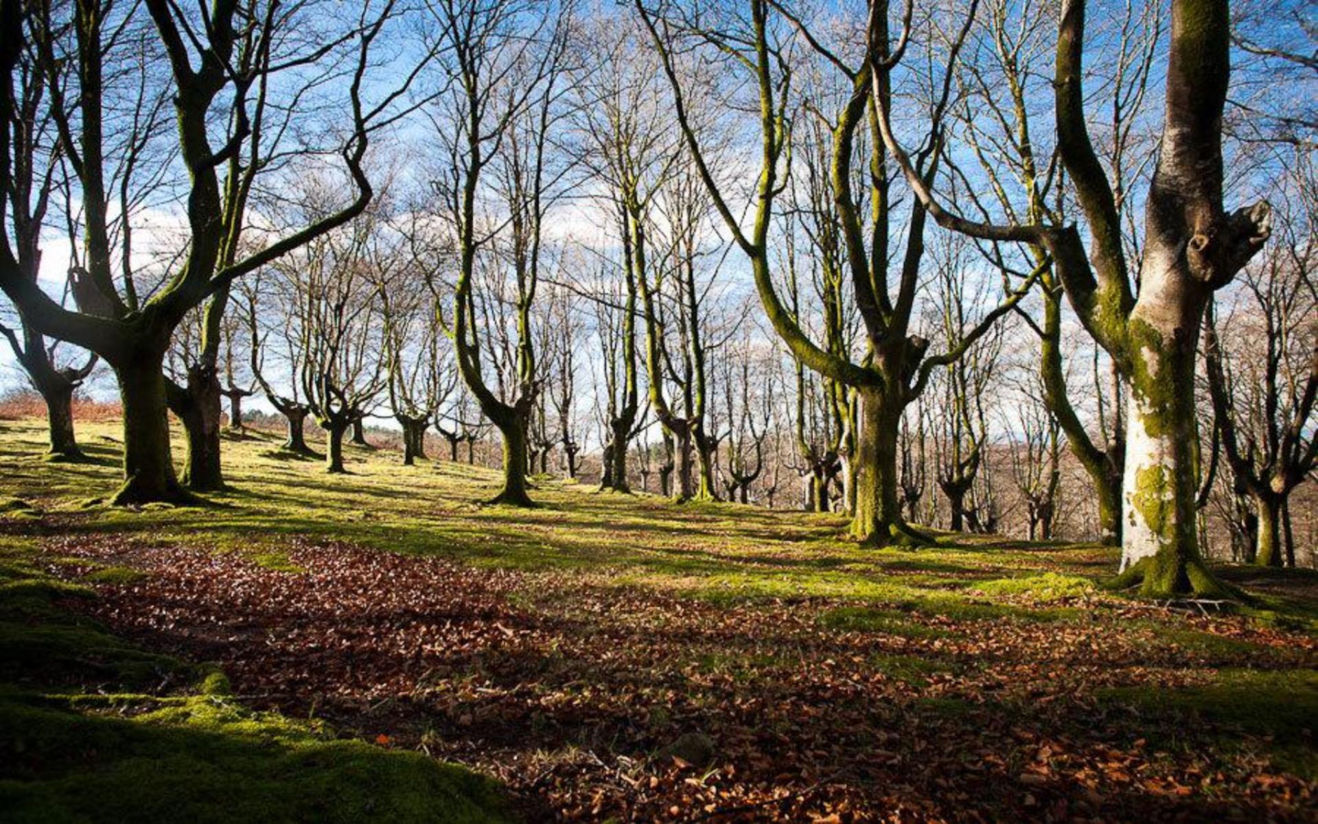 Aiako Harria Natural Park