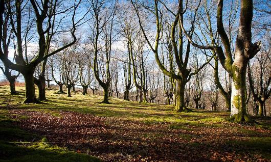 Aiako Harria Parke Naturala