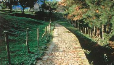 Le Chemin de Compostelle (La voie du Littoral)
