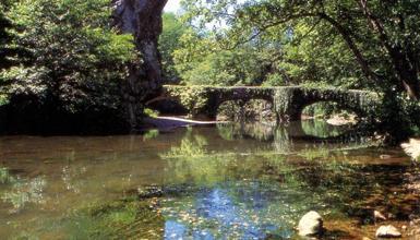 Leitzarango Biotopo Babestua
