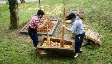 Euskal Sagardoaren Museoa