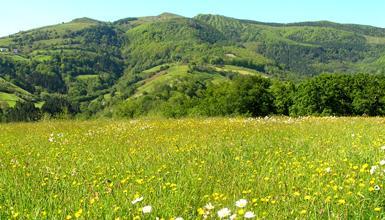 Parque Natural de Pagoeta Parque Natural de Pagoeta