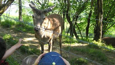 Parque Natural de Pagoeta Parque Natural de Pagoeta