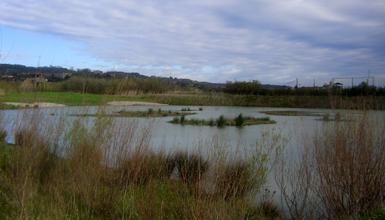 Parque Ecológico de Plaiaundi Parque Ecológico de Plaiaundi