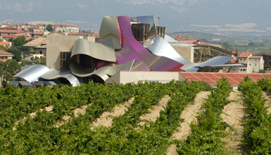 Elciego