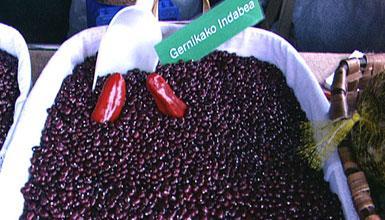 Gernikako babarrunak