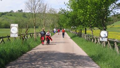 Arditurriko ibilbide Berdea